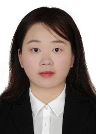 图像 4.jpeg